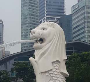 Merlion MBS