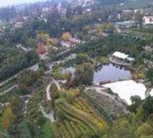 Blick auf den Garten