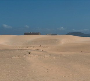 Dünen von Corralejo