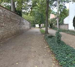 Dorotheenstädtischer Friedhof