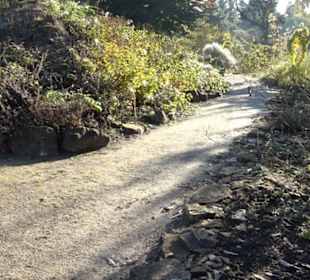 Botanischer Garten