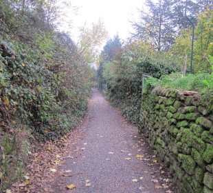 Auf dem Weg zur Wolfsburg