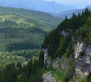 Triassic Park