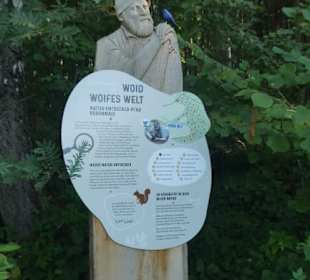 Unterwegs am Naturentdeckerpfad Woid Woifes Welt