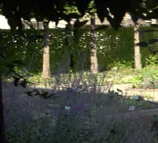 Botanischer Garten München