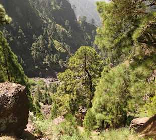 Caldera de Taburiente