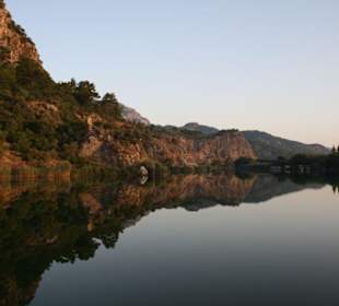 Turtle Watching Tour