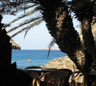 Meerblick vom Restaurant unter Palmen