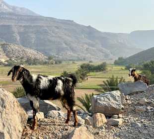 Ausflug Jebel Harim