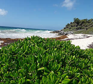 Strand Playa del Carmen/Playacar