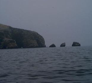 Îles Ballestas