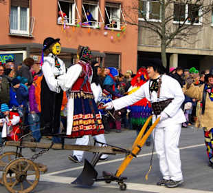 Nürnberger Faschingsumzug 2013