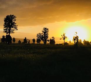 Wandern Fox Gletscher