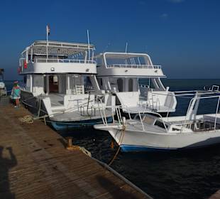 Zurück in El Gouna