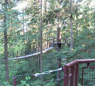 Capilano Suspension Bridge and Park