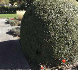 Rosengarten