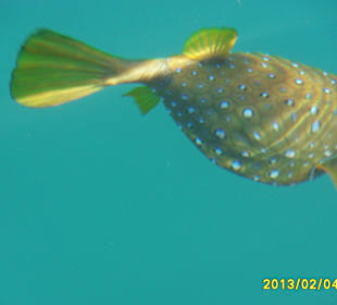 SUNRISE Grand Select Crystal Bay Resort