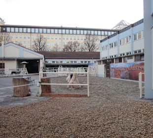 Blick zu den Stallungen