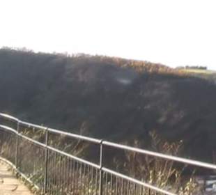 Loreley