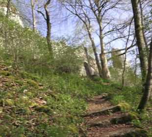 Wanderweg Hochgehswiggert