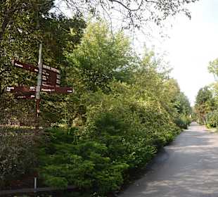 Zoo