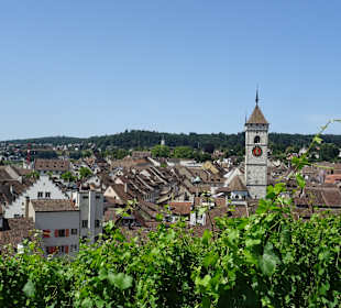Munot Ausblick