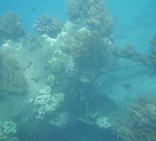 Japanisches Schiffswrack