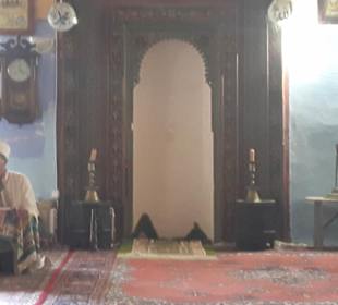 Ali's Ausflüge Avsallar