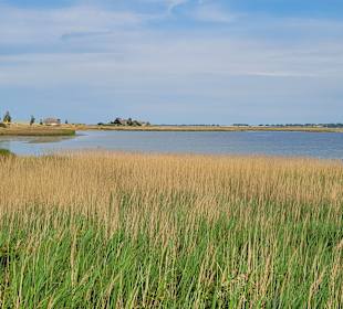 Naturschutzgebiet Graswarder