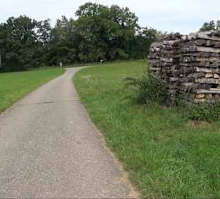 Sonnenaufgangs-Rundwanderung Rübgarten