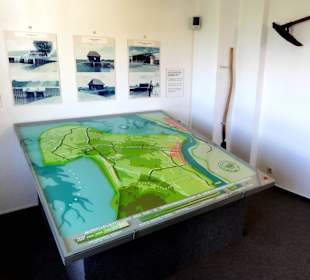 Entwicklung der Küstenlinie in Butjadingen