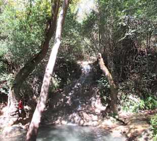 Trockenzeit, wenig Wasser, kleiner Fall