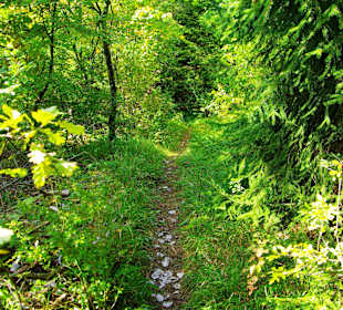 Das Affalterthal Sept. 2012