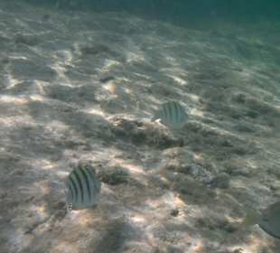 Unterwasser