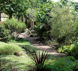 Impressionen aus dem Bibelgarten