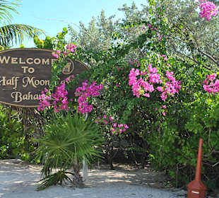 Half Moon Cay