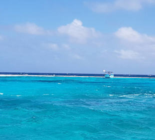 Karibikfeeling pur
