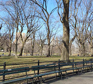 Im Central Park 