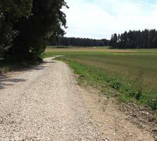 Wanderung Froschteich-Tour