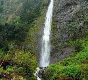 Wasserfall Madeira