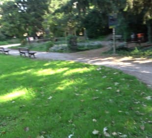 Stadtgarten Heidelberg