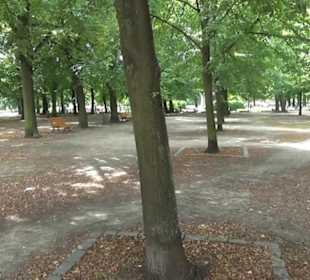 Bassinplatz