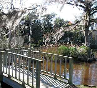 Gartenanlage der Orton Plantation