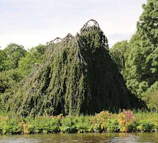 Ehemaliges BUGA-Gelände