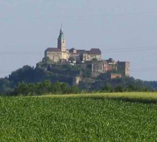 Die Burg im Sommer, von Wien aus kommend