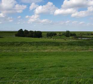 Radtour Andijk-Enkhuizen