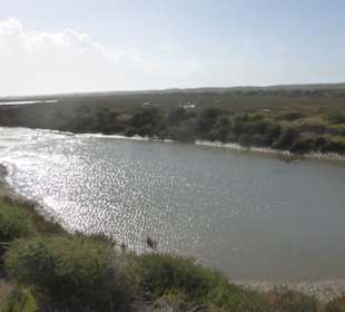 Unterwegs im Ria Formosa Natural Park
