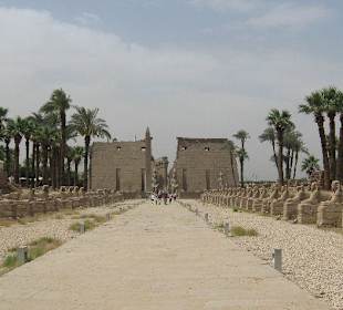 Sphingenallee am Luxorpalast