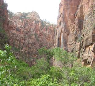 Zion National Park