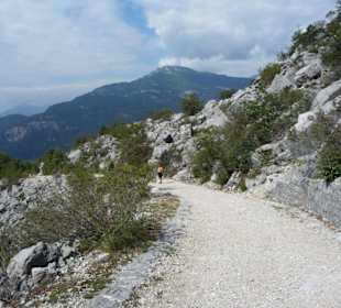 Forstweg durch die Geröllhalde